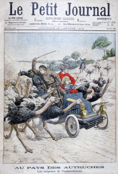 Ostriches attacking a car, California, USA, 1904. Artist: Unknown