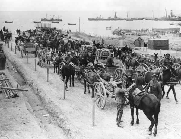 Horse drawn transportation, Allied operations in the Dardanelles, Turkey, 1915-1916. Artist: Unknown