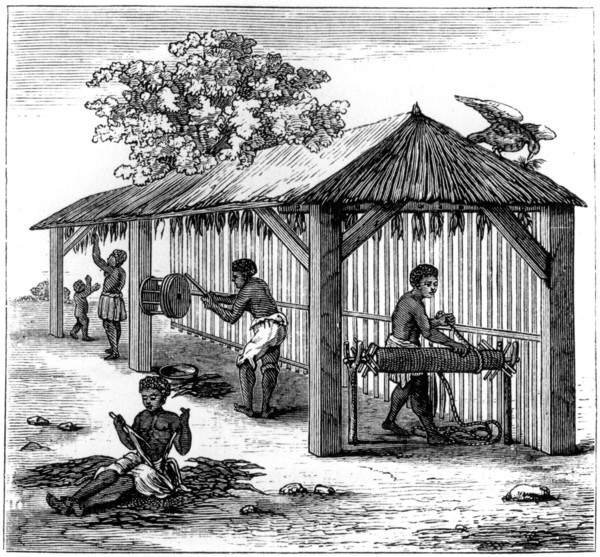 Tobacco preparation, 1873. Artist: Unknown