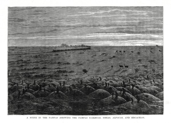 The Pampas railroad, South American lowlands, 1877. Artist: Unknown