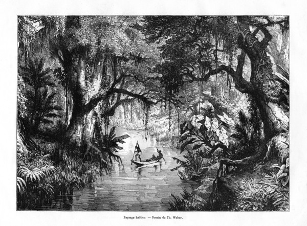 River in Haiti, 19th century. Artist: T Weber