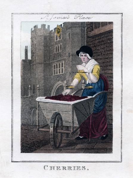 'Cherries', St James's Palace, London, 1805. Artist: Unknown