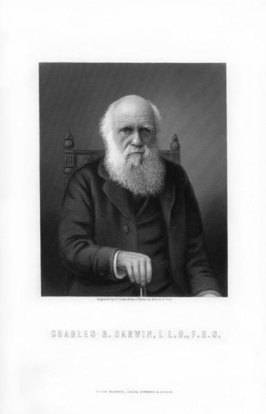 Charles Darwin, British naturalist, (1899).Artist: C Cook