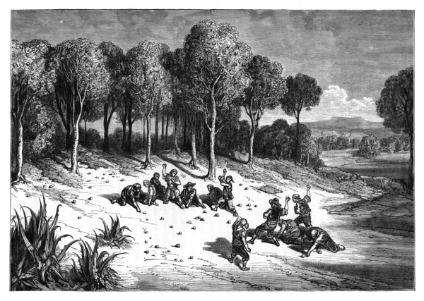 An orange grove in the south of Spain, c1890. Artist: Unknown
