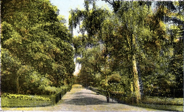 The Flower Walk, Kensington Gardens, London, 20th Century. Artist: Unknown