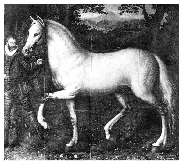 Queen Elizabeth I's horse, (1896). Artist: Unknown
