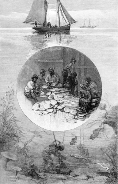 Pearl Fishery, Torres Strait, Australia, 1886. Artist: Unknown