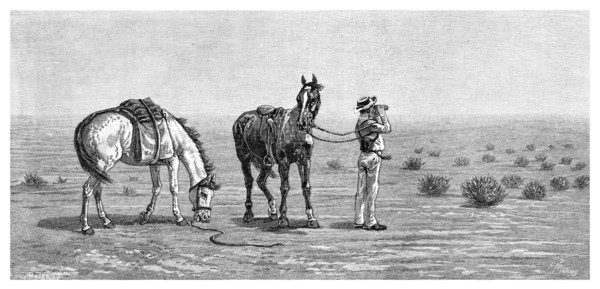 'Nothing in Sight', 1886.Artist: Frank P Mahony