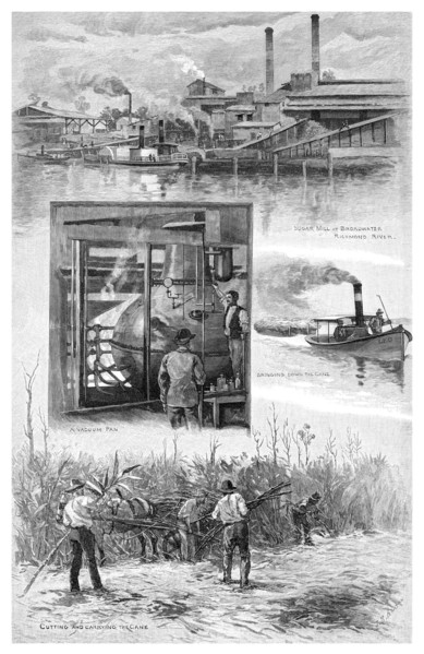 The sugar industry, Richmond River, New South Wales, Australia, 1886.Artist: JR Ashton