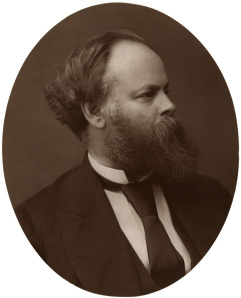 Samuel Plimsoll, Esq, MP, British Liberal politician and social reformer, 1876.Artist: Lock & Whitfield