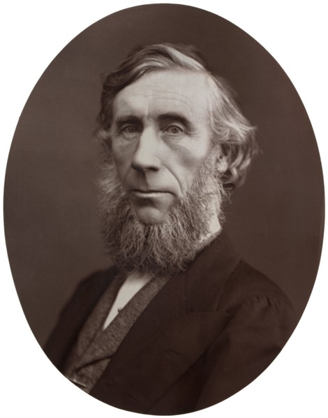 John Tyndall, DCL, LLD, FRS, Professor of Natural Philosophy at the Royal Institution, 1877.Artist: Lock & Whitfield