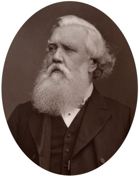 Right Hon Austen Henry Layard DCL, British Ambassador to Constantinople, 1877.Artist: Lock & Whitfield