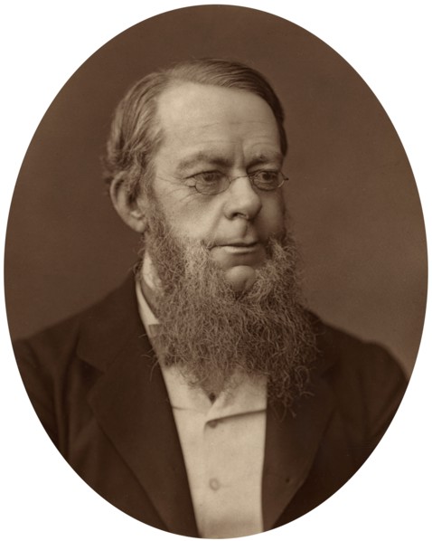 Richard Assheton Cross, MP, Home Secretary, 1880. Creator: Lock & Whitfield.