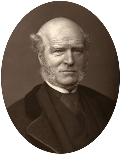 Thomas Hughes, 1880.Artist: Lock & Whitfield