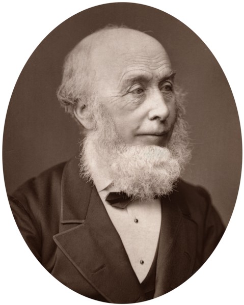 Sir Richard Redgrave, landscape painter, 1878.Artist: Lock & Whitfield