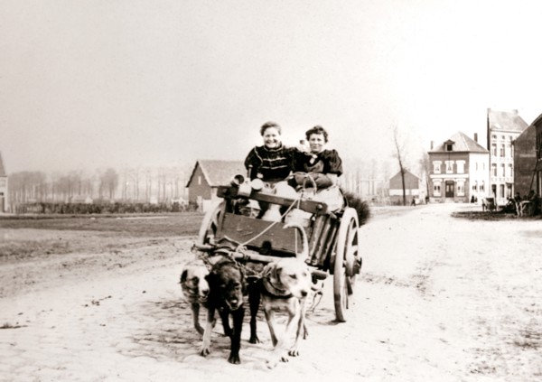 Dogs pulling women on a cart, Antwerp, 1898.Artist: James Batkin