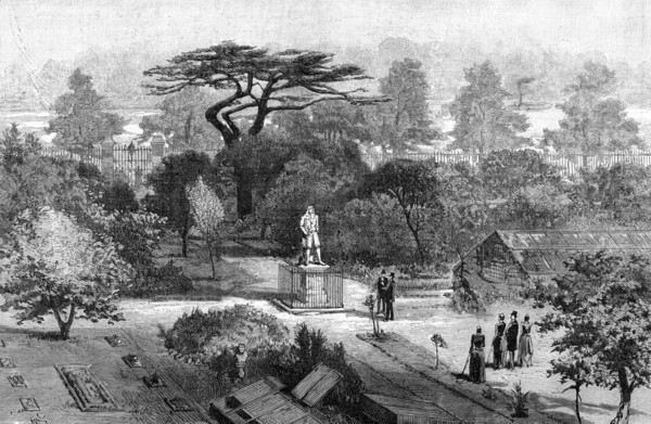 The old physic garden, Chelsea, 1890. Artist: Unknown