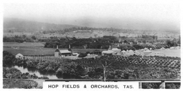 Hop fields and orchards, Tasmania, Australia, 1928. Artist: Unknown