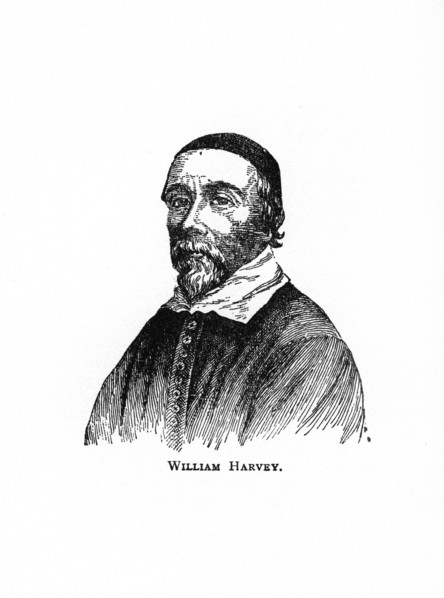 William Harvey, 17th century English physician, (20th century). Artist: Unknown
