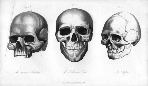 Ancient Cimbrian, Esthonian Finn, Lappe, 1848. Artist: Unknown