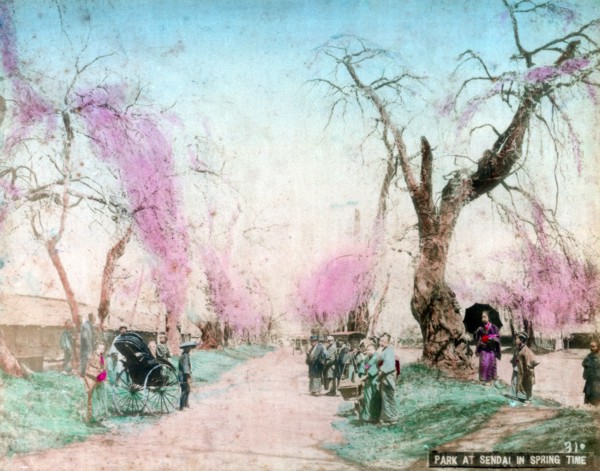 A park in springtime, Sendai, Miyagi Prefecture, Japan. Artist: Unknown