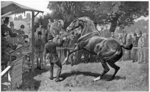 Sale of Hunters Raising and objection, 1885. Artist: Unknown