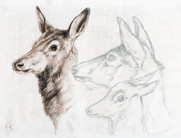 Facsimile of a drawing by Sir E Landseer, 1874.Artist: Edwin Henry Landseer