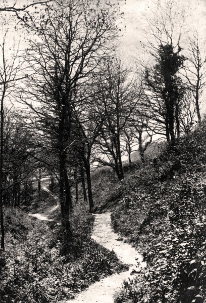 Lovers Lane, Fairlight, Hastings, Sussex. Artist: Unknown
