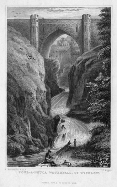 Poul a Phuca Waterfall, County Wicklow, 1829.Artist: J Rogers