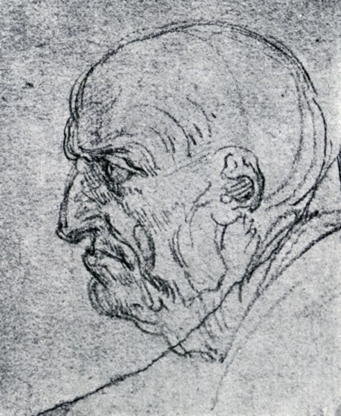 'Head of an Old Man', 1913. Artist: Leonardo da Vinci