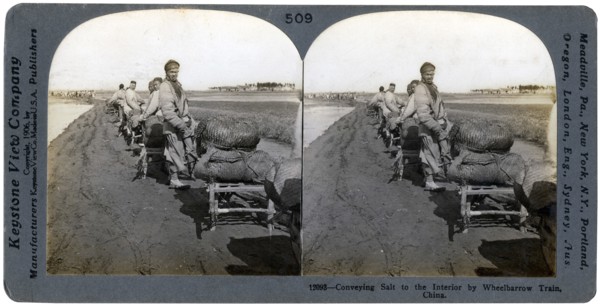 Conveying salt to the interior by wheelbarrow train, China, 1906. Artist: Keystone