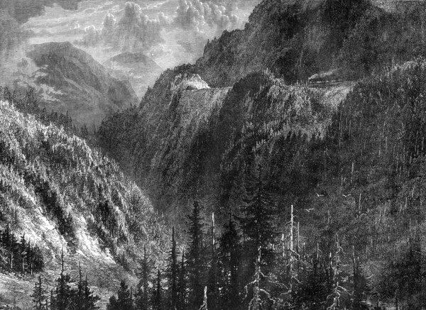The Black Forest, Germany, 19th century. Artist: WHJ Pool