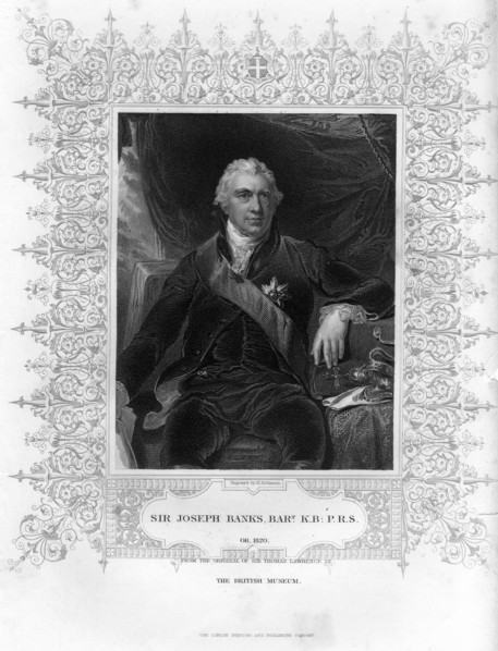 Sir Joseph Banks (1743-1820), English naturalist, botanist and science patron, 19th century.Artist: H Robinson