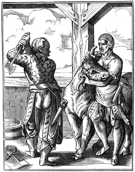 Butcher, 16th century (1849).Artist: Jost Amman