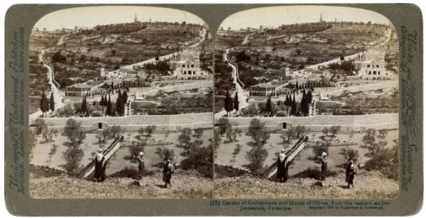 The Garden of Gethsemane and the Mount of Olives, Palestine, 1908.Artist: Underwood & Underwood