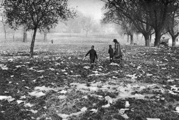 The rubbish left on Hamstead Heath after a bank holiday, London, 1926-1927. Artist: Unknown