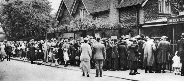 A queue for the zoo on a national holiday, London, 1926-1927. Artist: Unknown