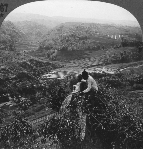 Java, Indonesia, c1900s. Artist: Unknown