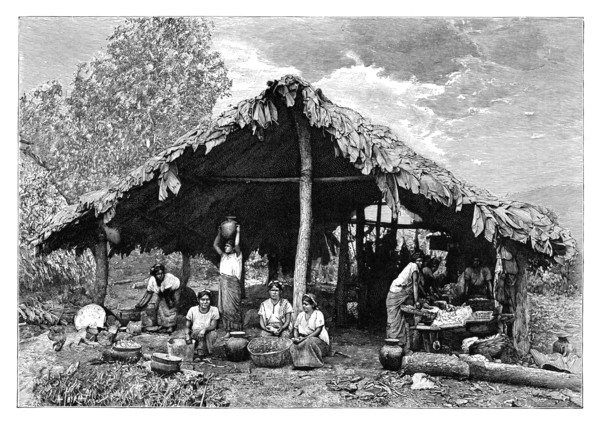 'Indian women of the hot lands on the Pacific slope', Central America, c1890. Artist: Henri Thiriat