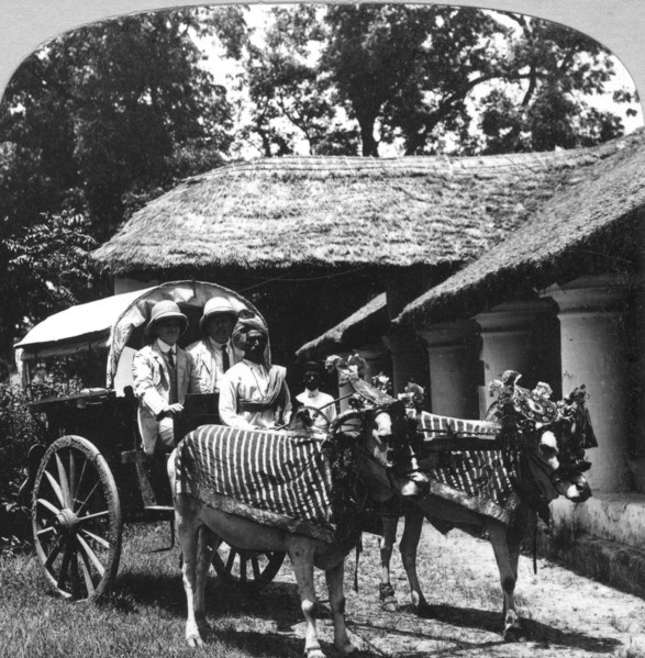 Leaving the dak bungalow for a 'bile-gharry', Belgaum district, southern India, 1900s.Artist: Realistic