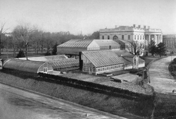 The White House and greenhouses, Washington DC, USA, 1908. Artist: Unknown