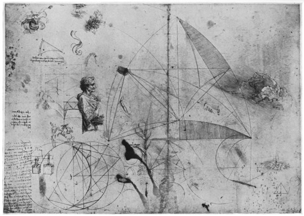 Sheet of studies, late 15th or early 16th century (1954).Artist: Leonardo da Vinci