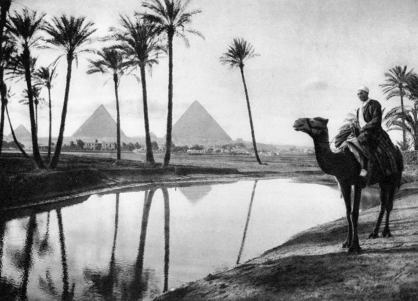 An oasis near Cairo, Egypt, c1920s. Artist: Unknown