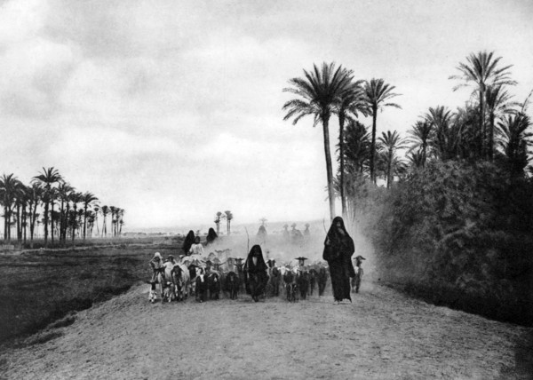 Shepherding sheep near Cairo, Egypt, c1920s. Artist: Unknown