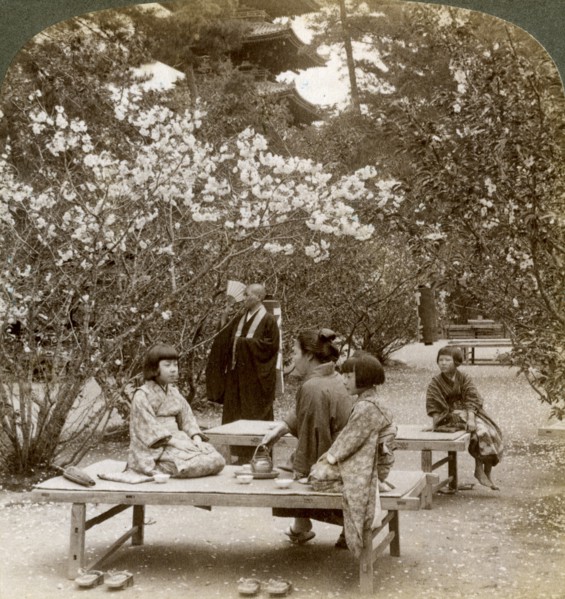 A family enjoying a picnic under the cherry blossoms, Omuro Gosho, Kyoto, Japan, 1904.Artist: Underwood & Underwood