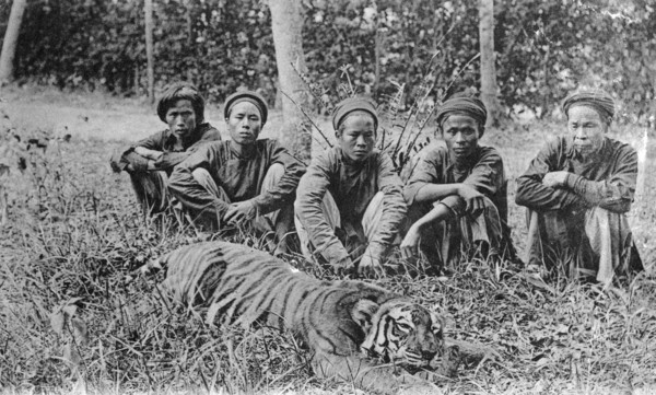 Tiger hunters, Tonkin, Vietnam, 20th century(?). Artist: Unknown