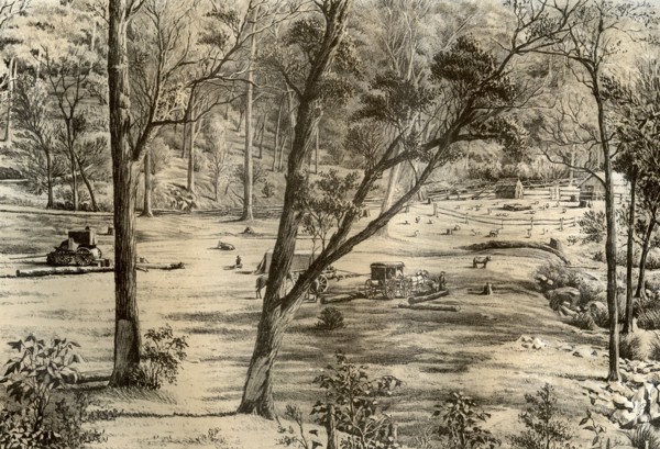 Free selector's hut, Australia, 1879. Artist: McFarlane and Erskine
