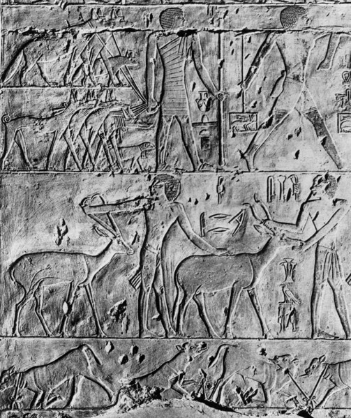 A hunting scene from the tomb of Ptahhotep, near Saqqara, Egypt, c2650 BC (1936). Artist: Unknown