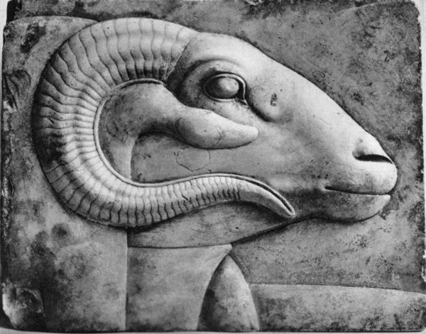 A ram's head, Egypt, 1936. Artist: Unknown