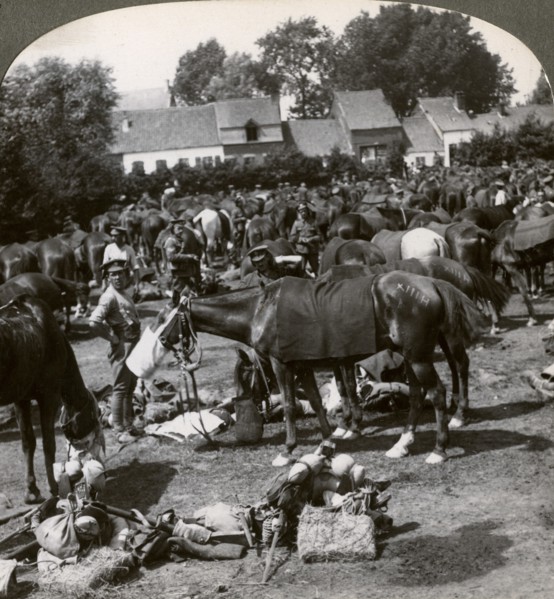 Troops feeding their horses and resting on the march, World War I, 1914-1918.Artist: Realistic Travels Publishers